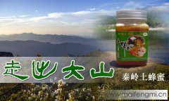 秦岭深山土蜂蜜的价格多少钱一斤