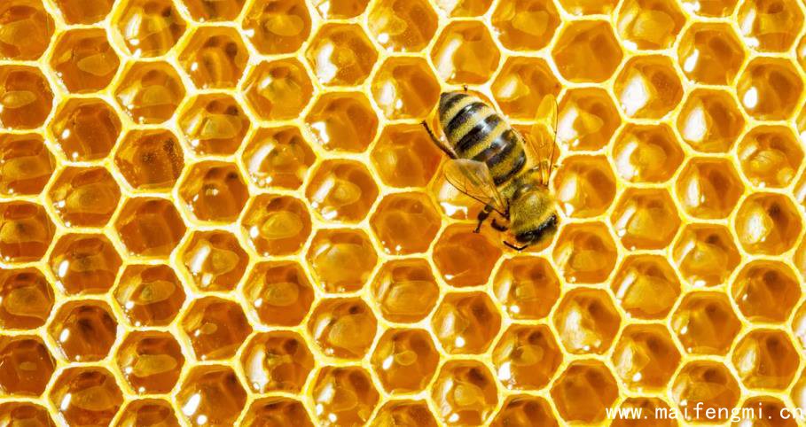 什么是生蜂蜜