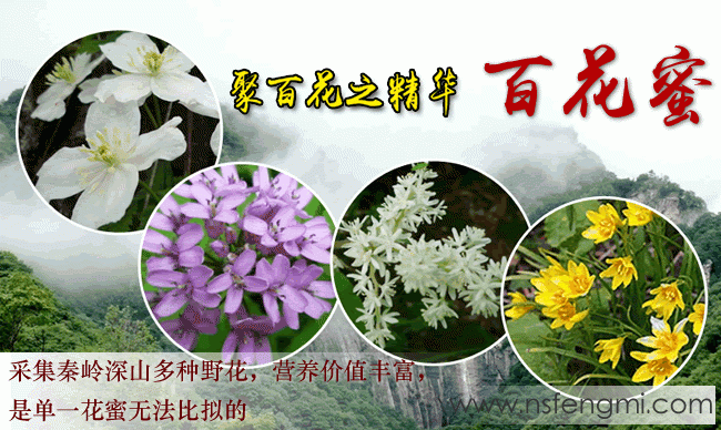 什么是百花蜜?