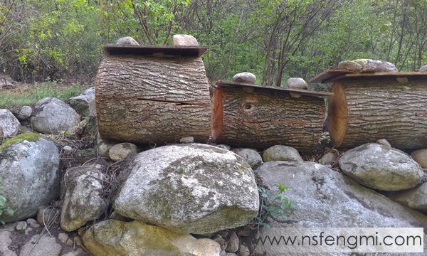 秦岭土蜂蜜图片