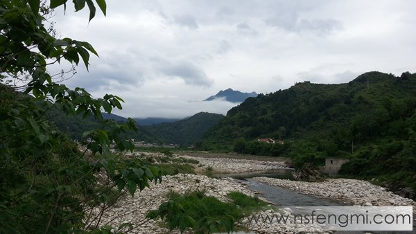 秦岭土蜂蜜图片