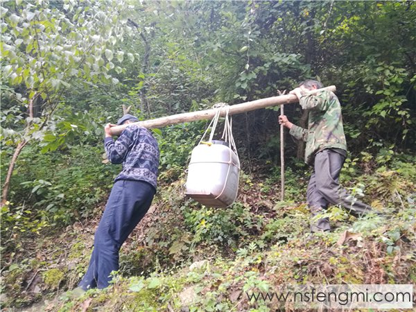 山里王土蜂蜜图片