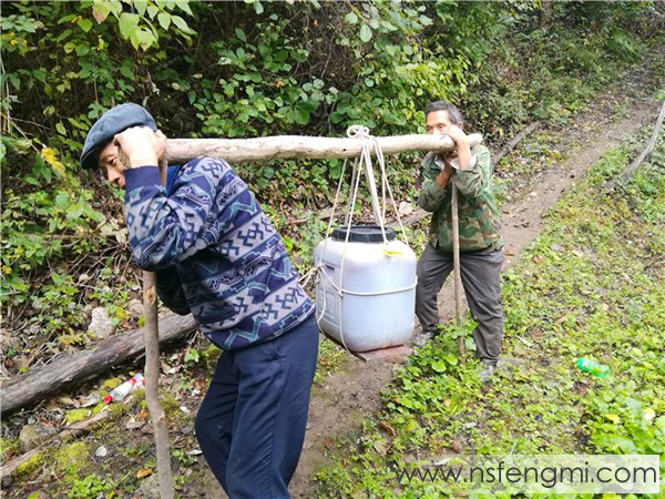 山里王土蜂蜜图片