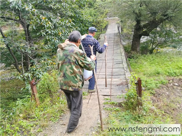 山里王土蜂蜜图片